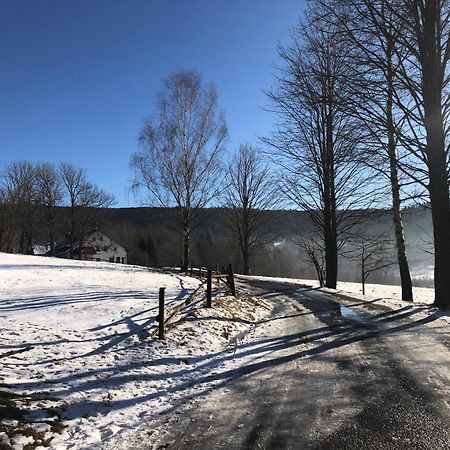 Apartmán Borůvka Železná Ruda Esterno foto