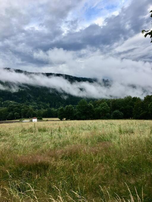 Apartmán Borůvka Železná Ruda Esterno foto