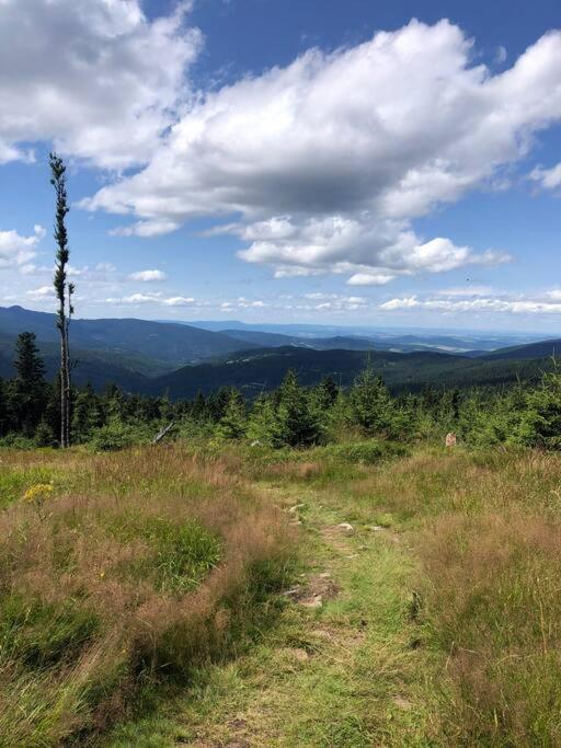 Apartmán Borůvka Železná Ruda Esterno foto