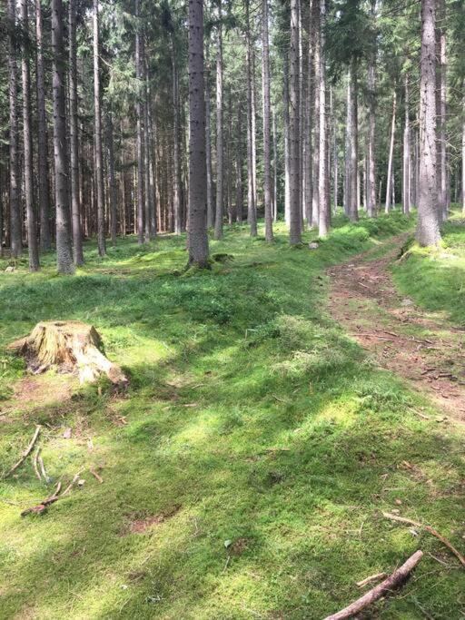 Apartmán Borůvka Železná Ruda Esterno foto