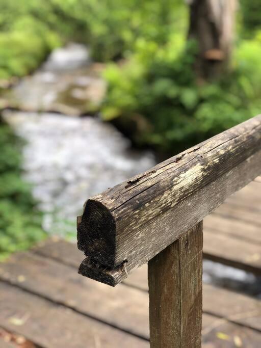 Apartmán Borůvka Železná Ruda Esterno foto