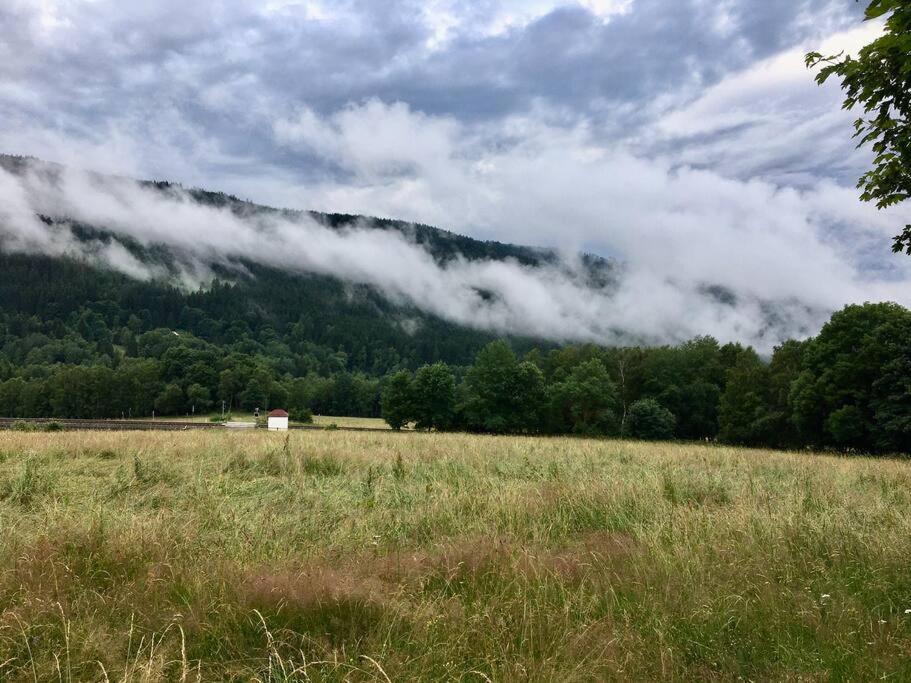 Apartmán Borůvka Železná Ruda Esterno foto