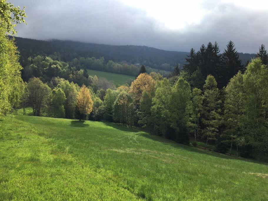 Apartmán Borůvka Železná Ruda Esterno foto