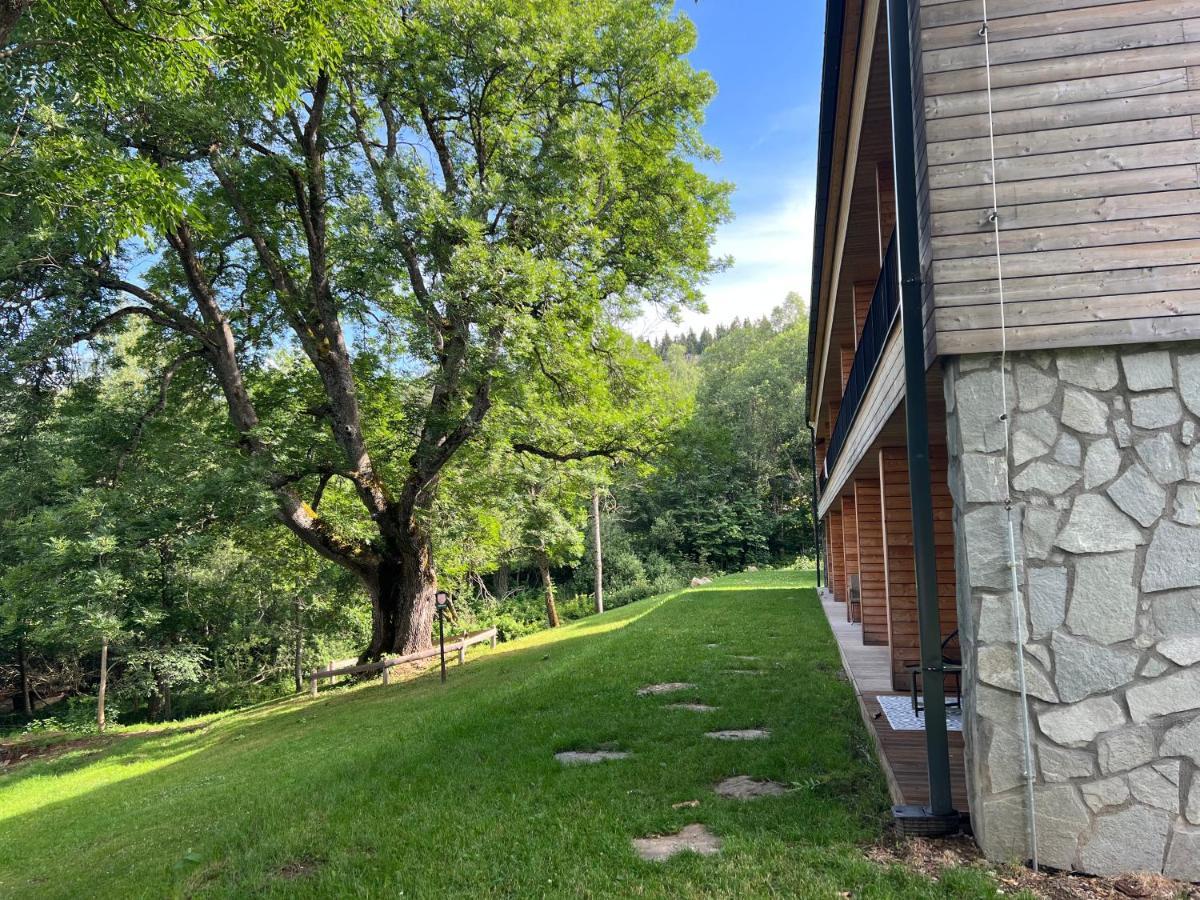Apartmán Borůvka Železná Ruda Esterno foto