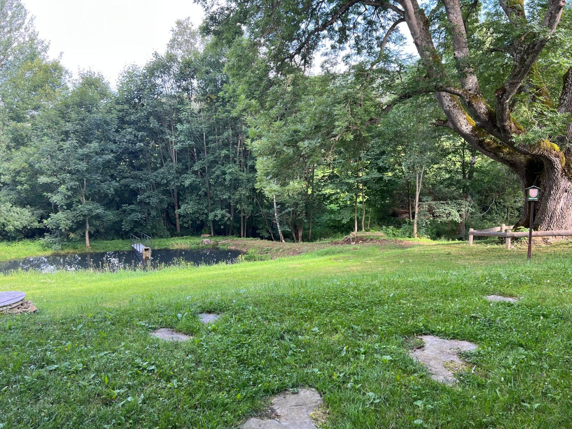 Apartmán Borůvka Železná Ruda Esterno foto