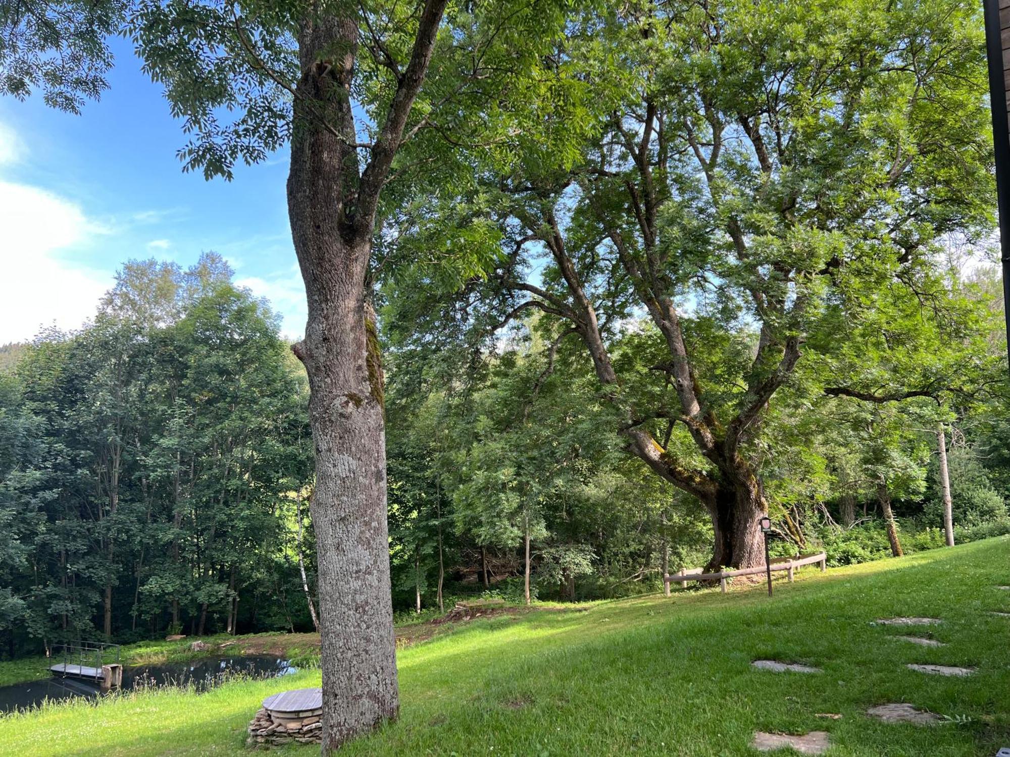 Apartmán Borůvka Železná Ruda Esterno foto